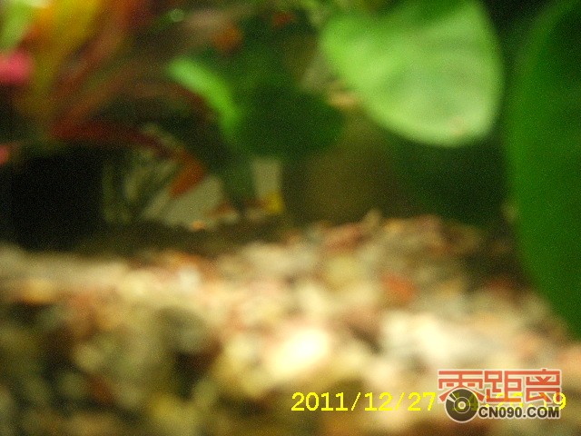 SA503354.JPG