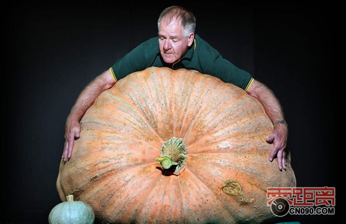 20111121_cc27a7fa6ec4a235cdd9z1deBtQykByr.jpg