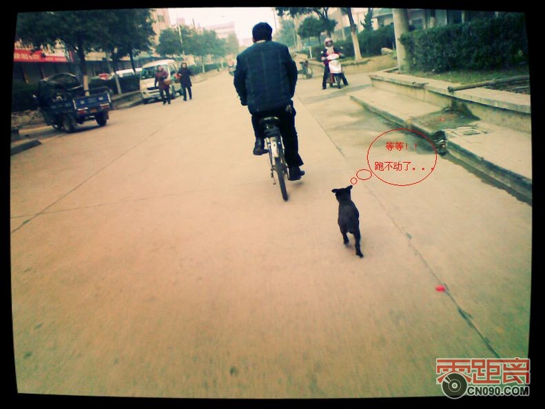 11221122rr.jpg