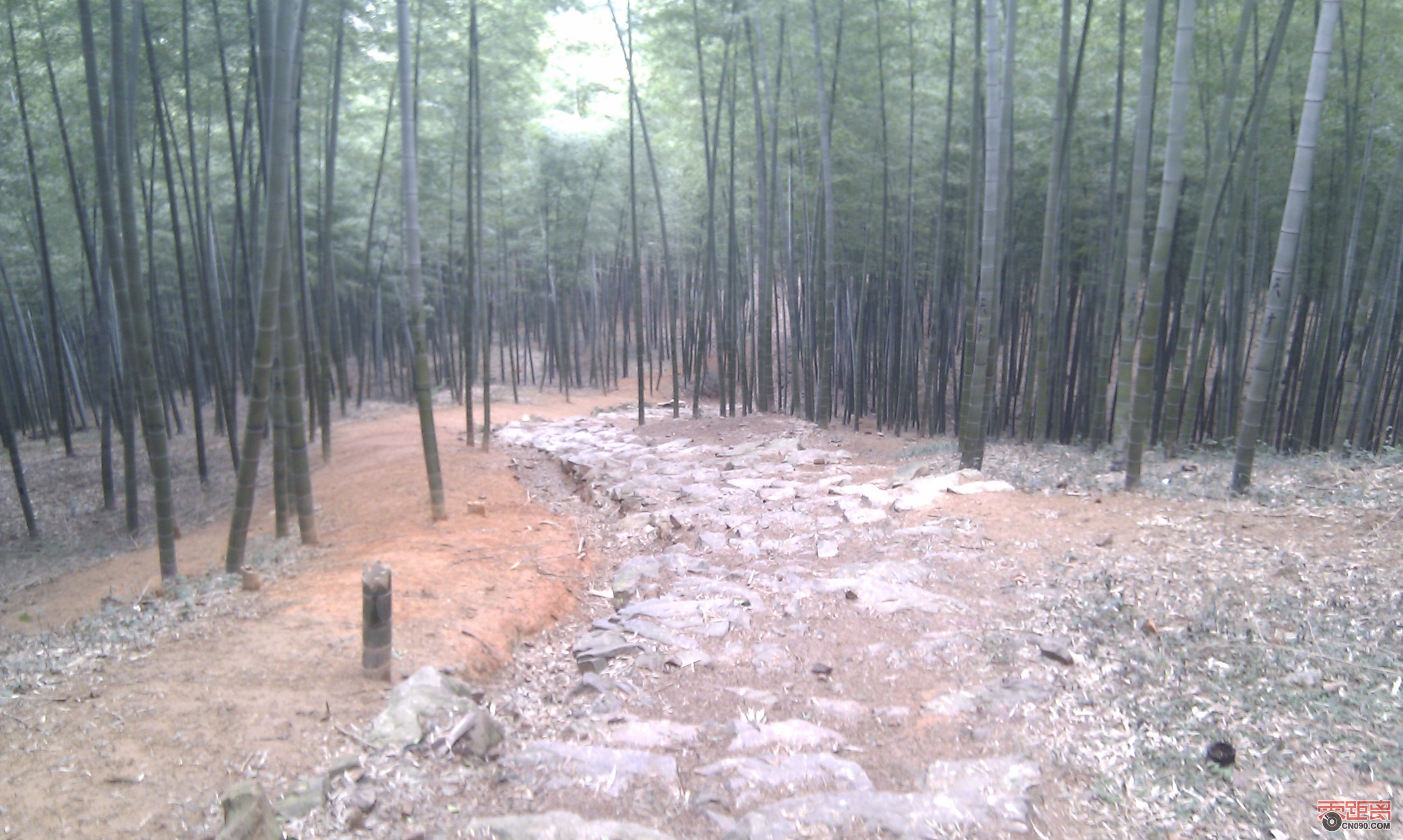IMAG0084.jpg