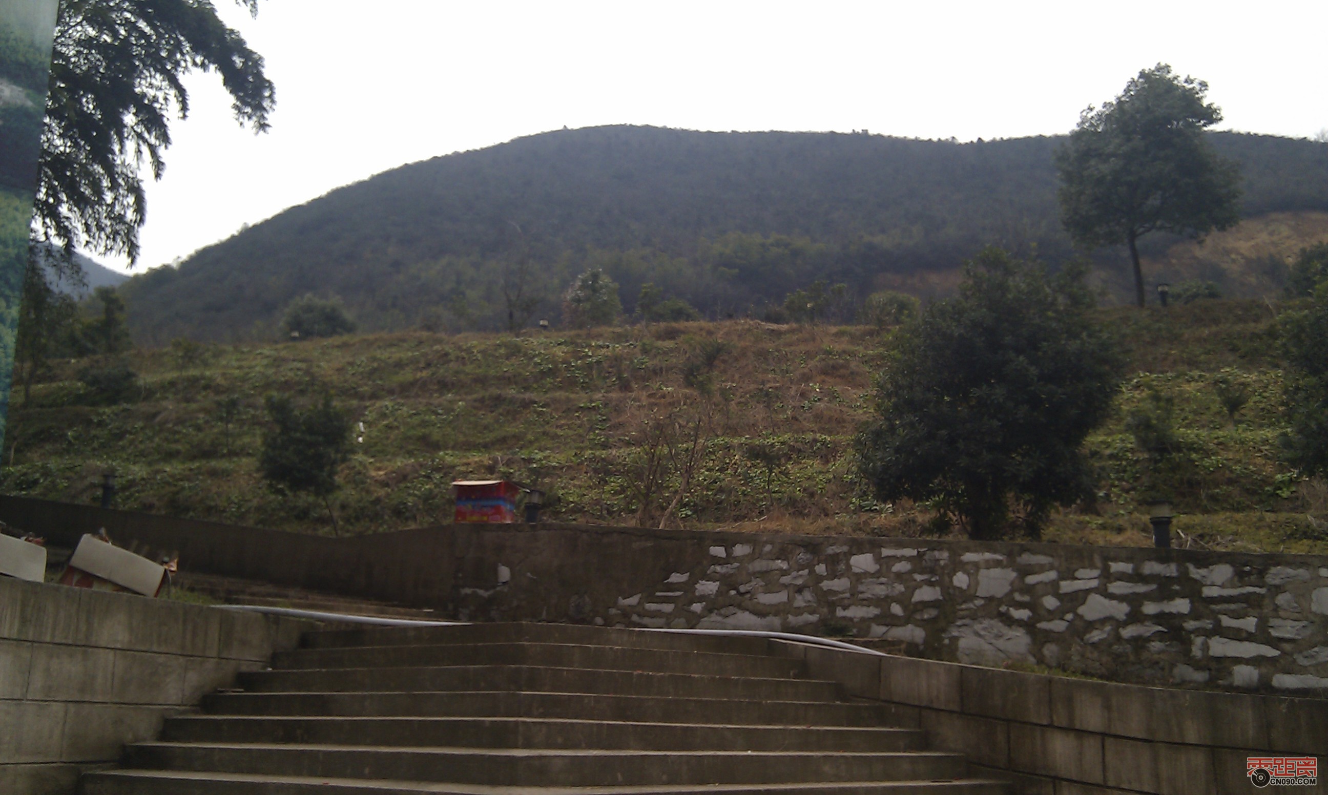 IMAG0087.jpg