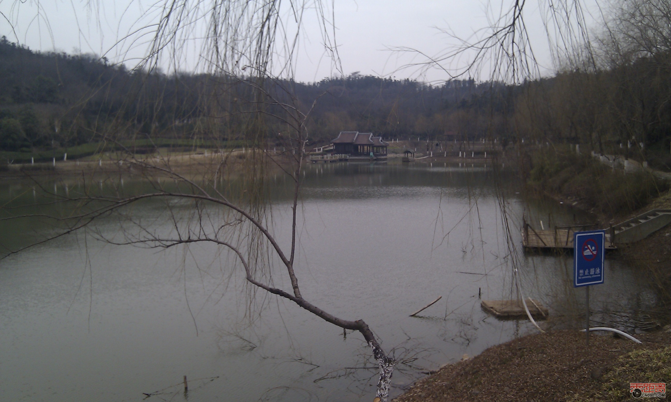 IMAG0105.jpg