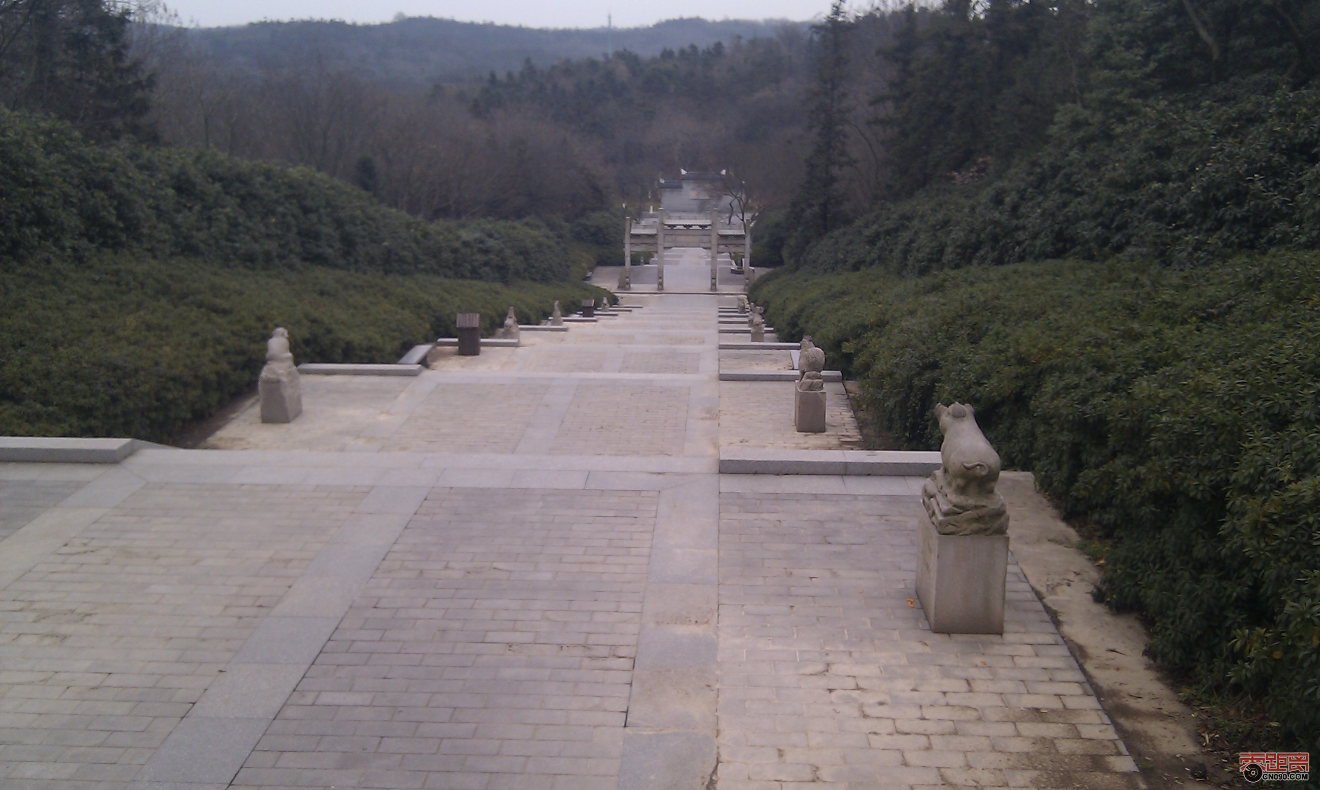 IMAG0102.jpg