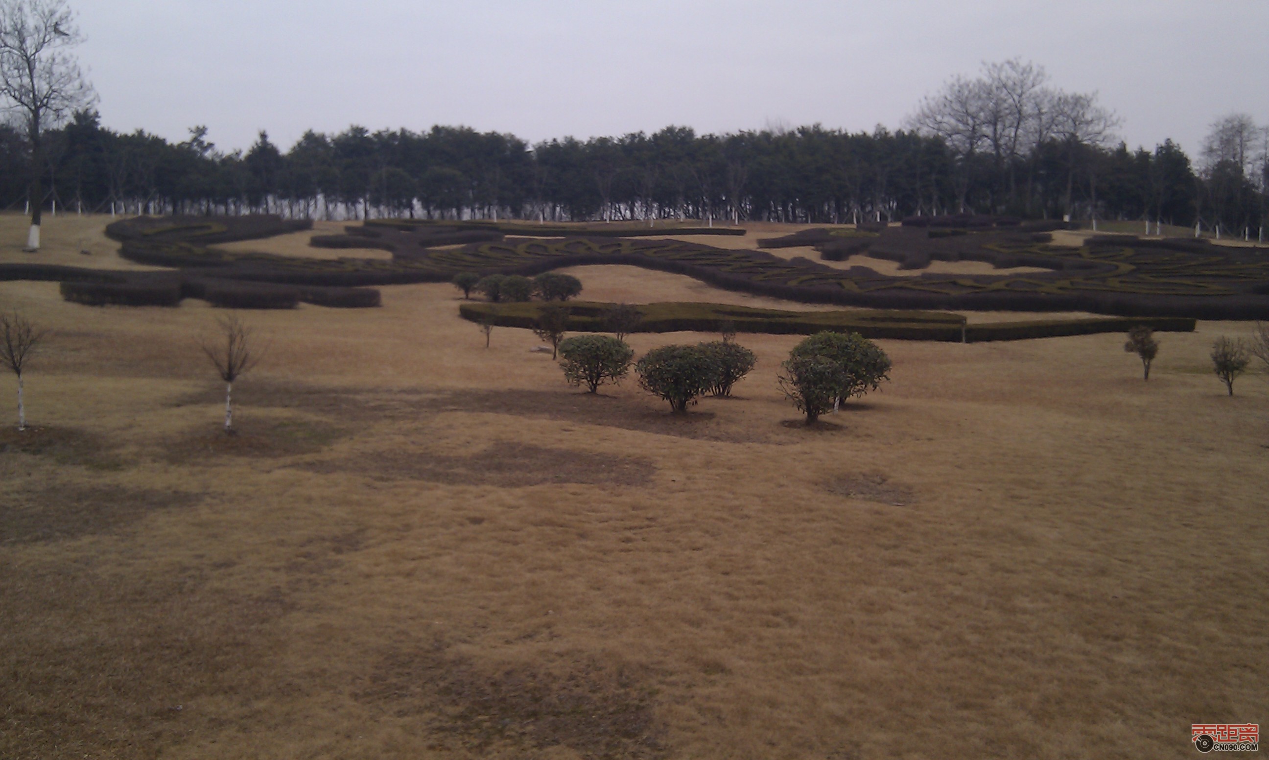 IMAG0095.jpg