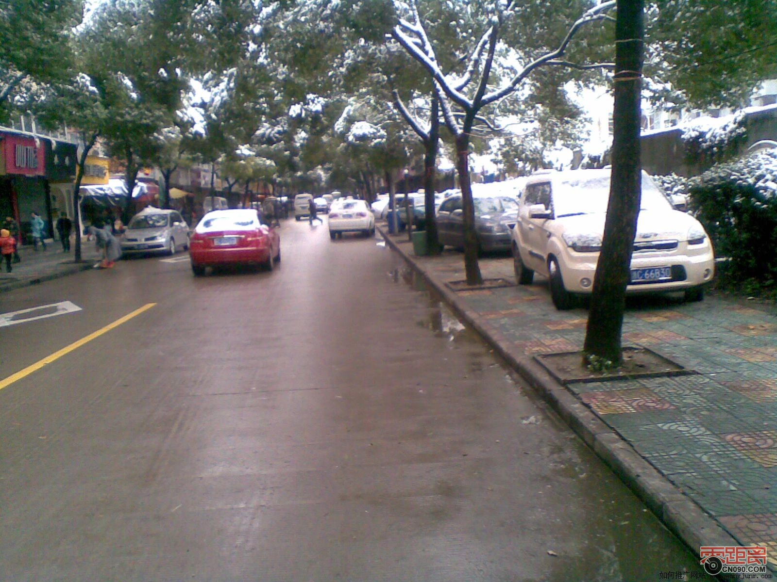 2010121694027115.jpg