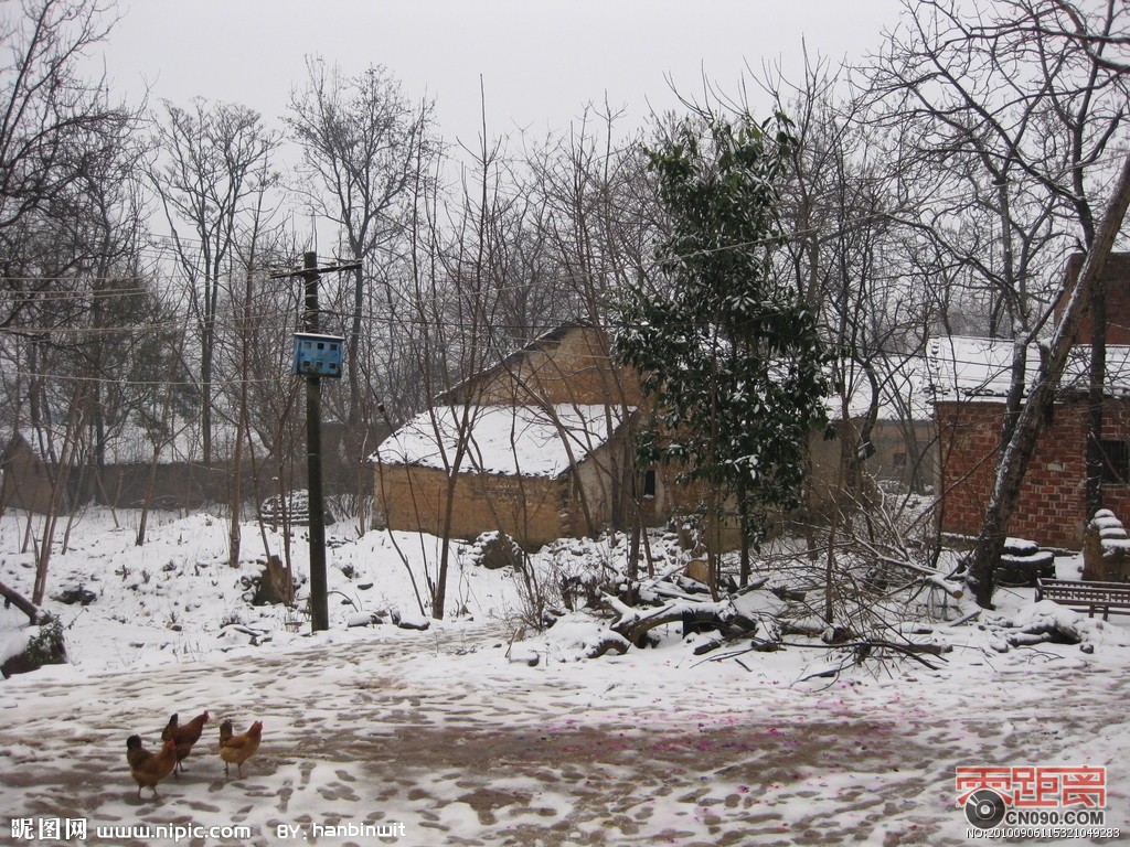 3166046_115321049283_2.jpg