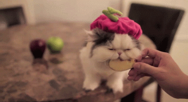 0933041ogrfbxjfb9w9xax.gif