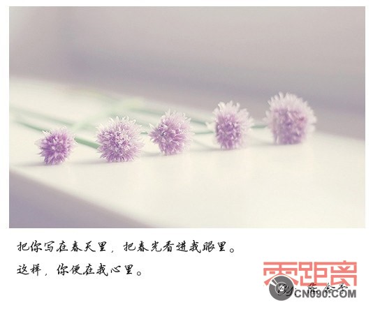 original_HGE8_1db500030d791261.jpg