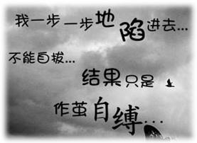 0F9203T4Y.jpg