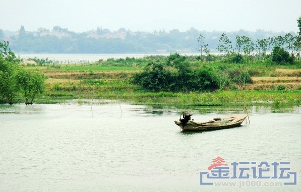 1001279bkh57eb233dkvss.jpg