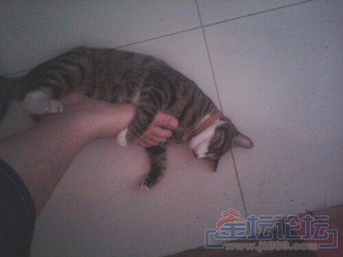 IMG20130815220230.jpg