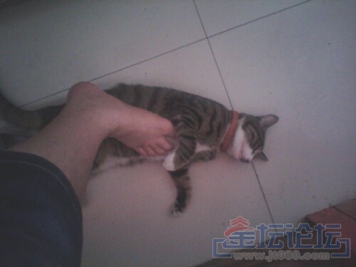 IMG20130815220255.jpg