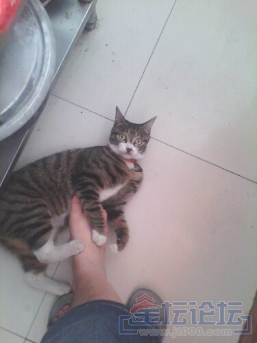 IMG20130815220514.jpg