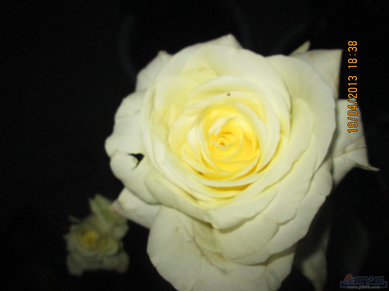 1212 005.jpg