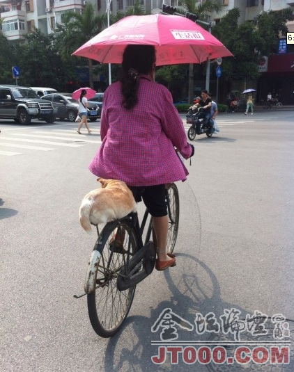 QQͼ20130824062826.png