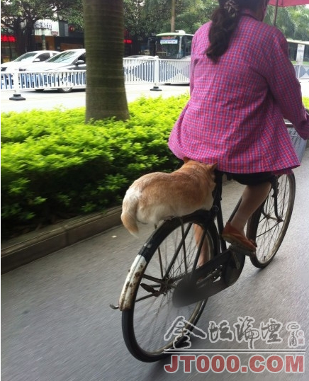 QQͼ20130824062852.png
