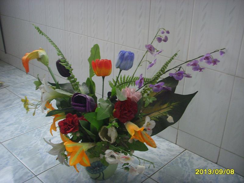 SSL28328.JPG