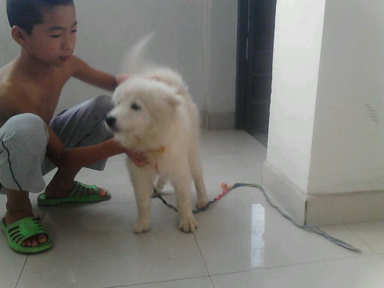 QQͼƬ20130914173327.jpg
