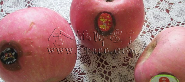 150533e733ffunbn77fu9z.png