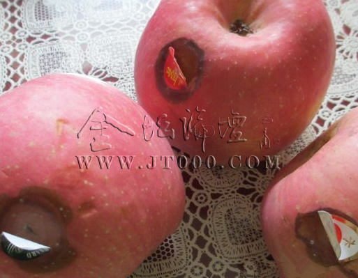 15052812nj97fffi7ezijg.png
