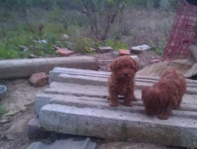 QQͼ20131019055120.jpg
