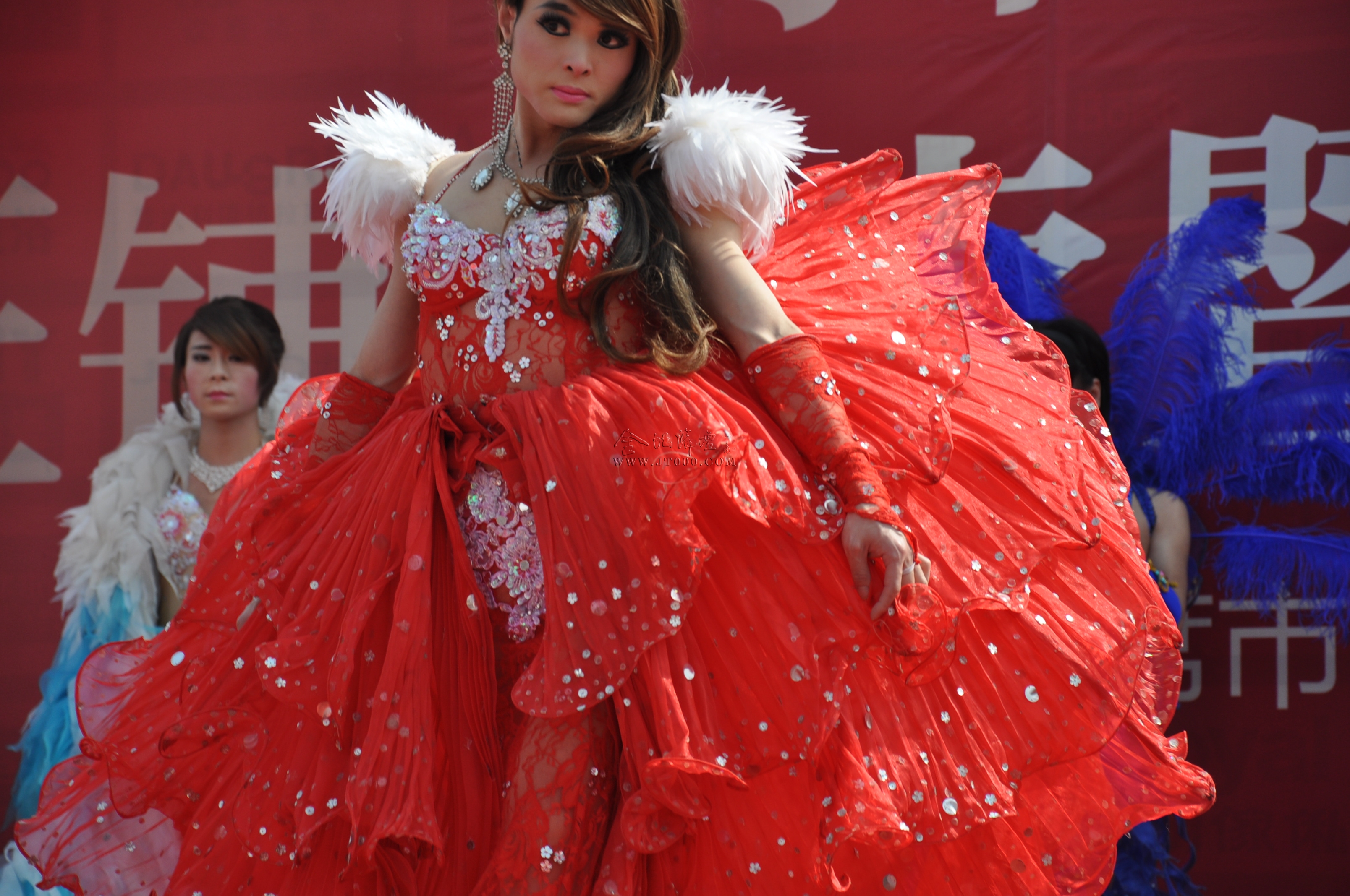DSC_0262.JPG