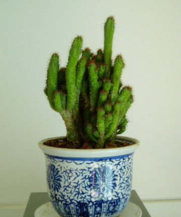 QQͼ20140711153713.png
