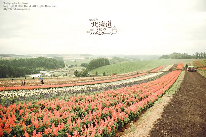 20120302132058_dcm4P.jpg