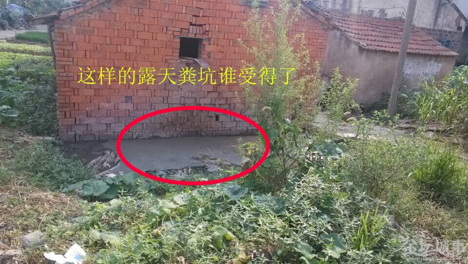 1_.jpg