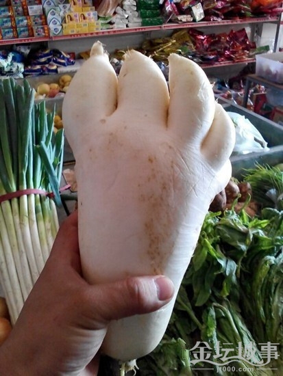 ̳