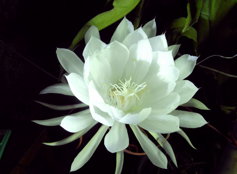 201110231948001.jpg