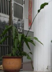 QQͼƬ20141219163532.jpg