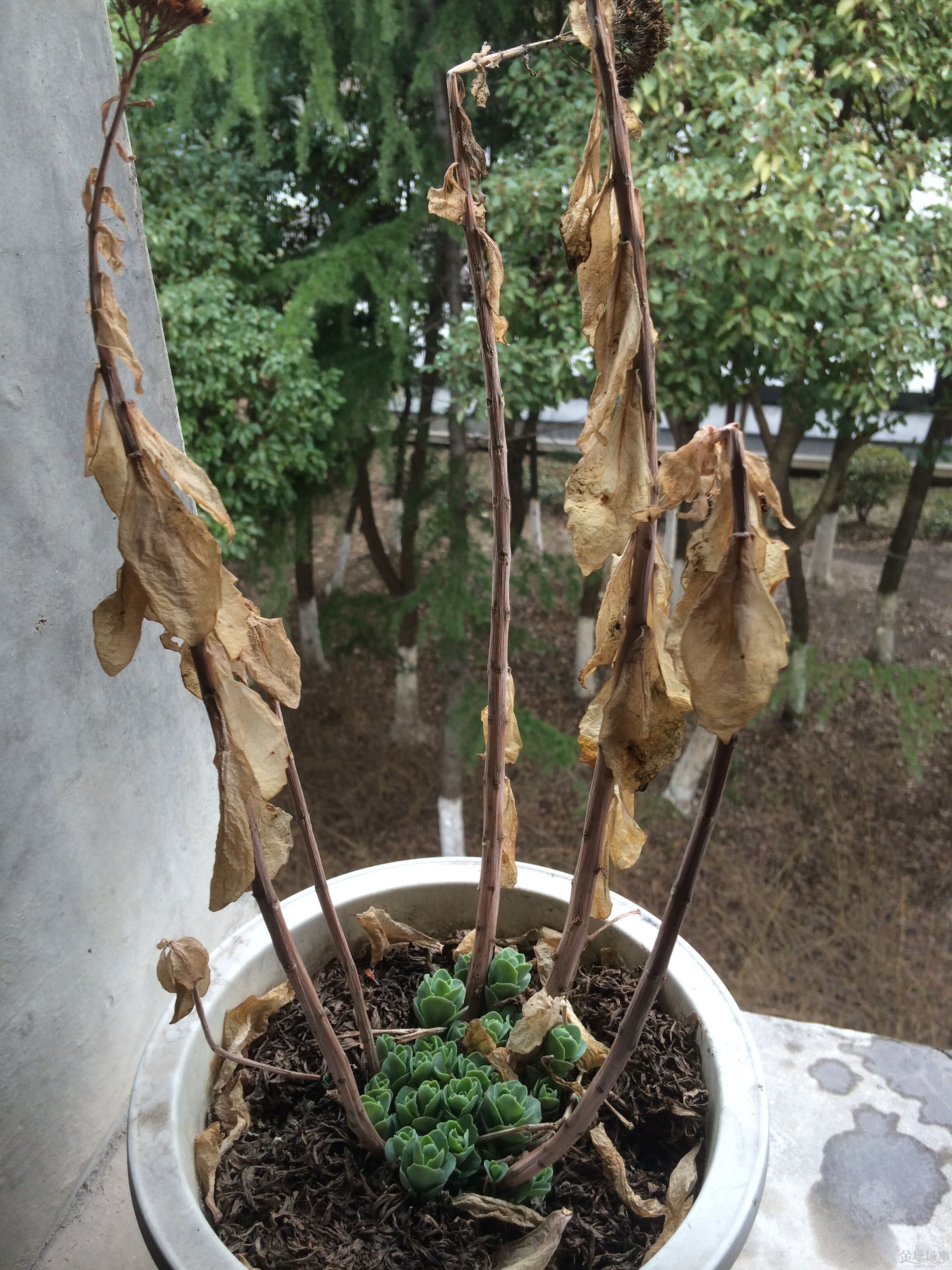 QQͼƬ20150301162217.jpg