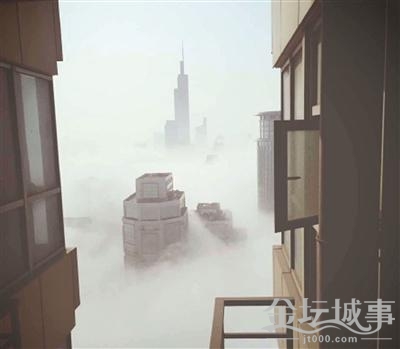 c03fd5535e1616787a3016 (1).jpg