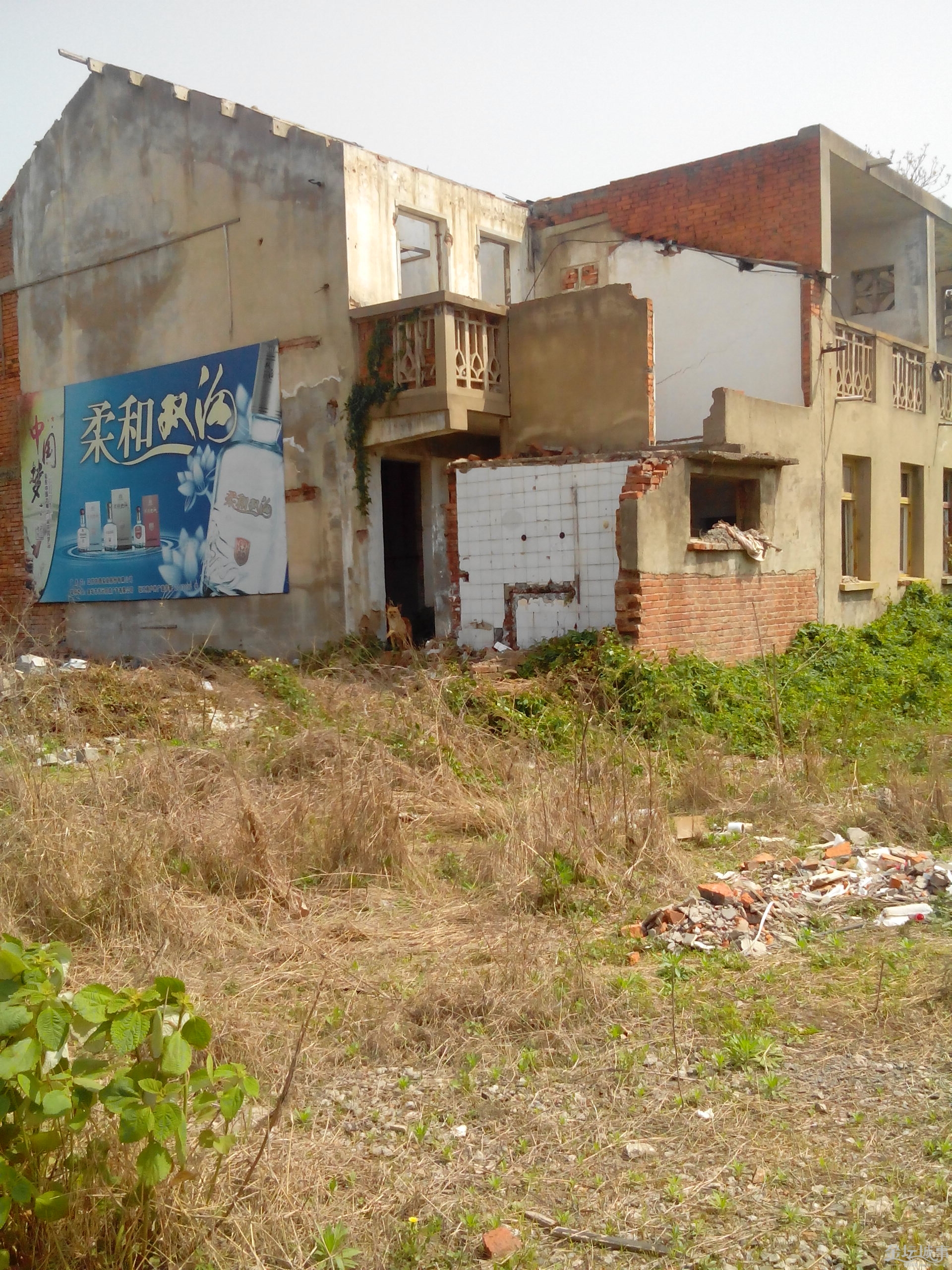 IMG_20150417_101525.jpg