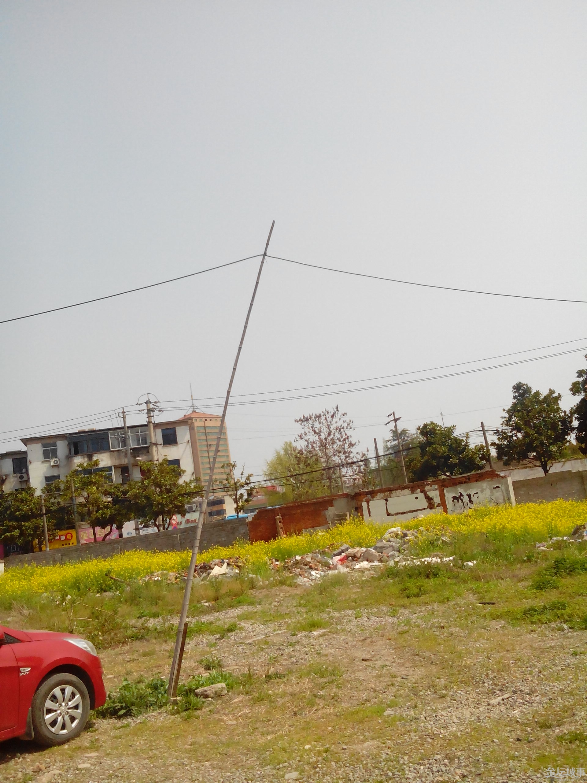 IMG_20150417_101548.jpg