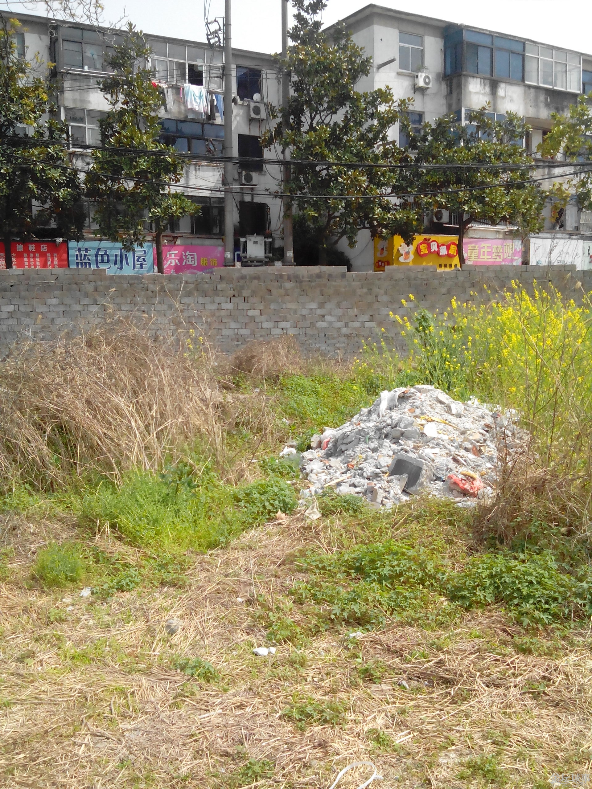 IMG_20150417_101649.jpg