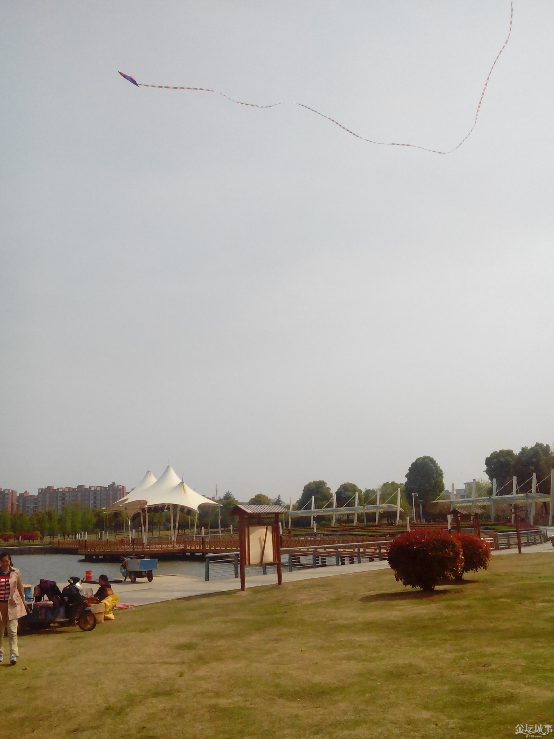 IMG_20150417_141118.jpg