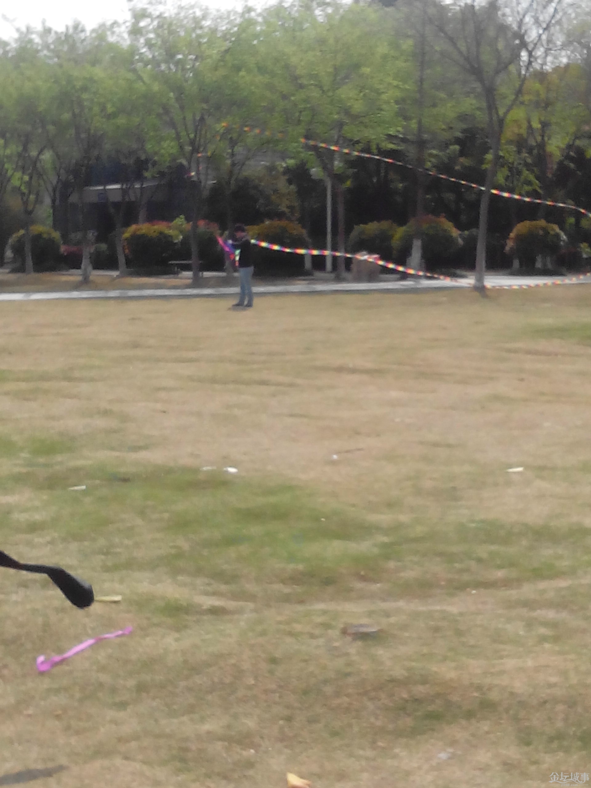IMG_20150417_141214.jpg