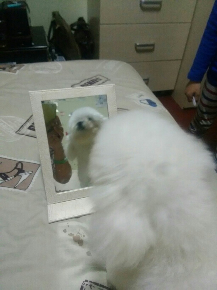 ̳̳