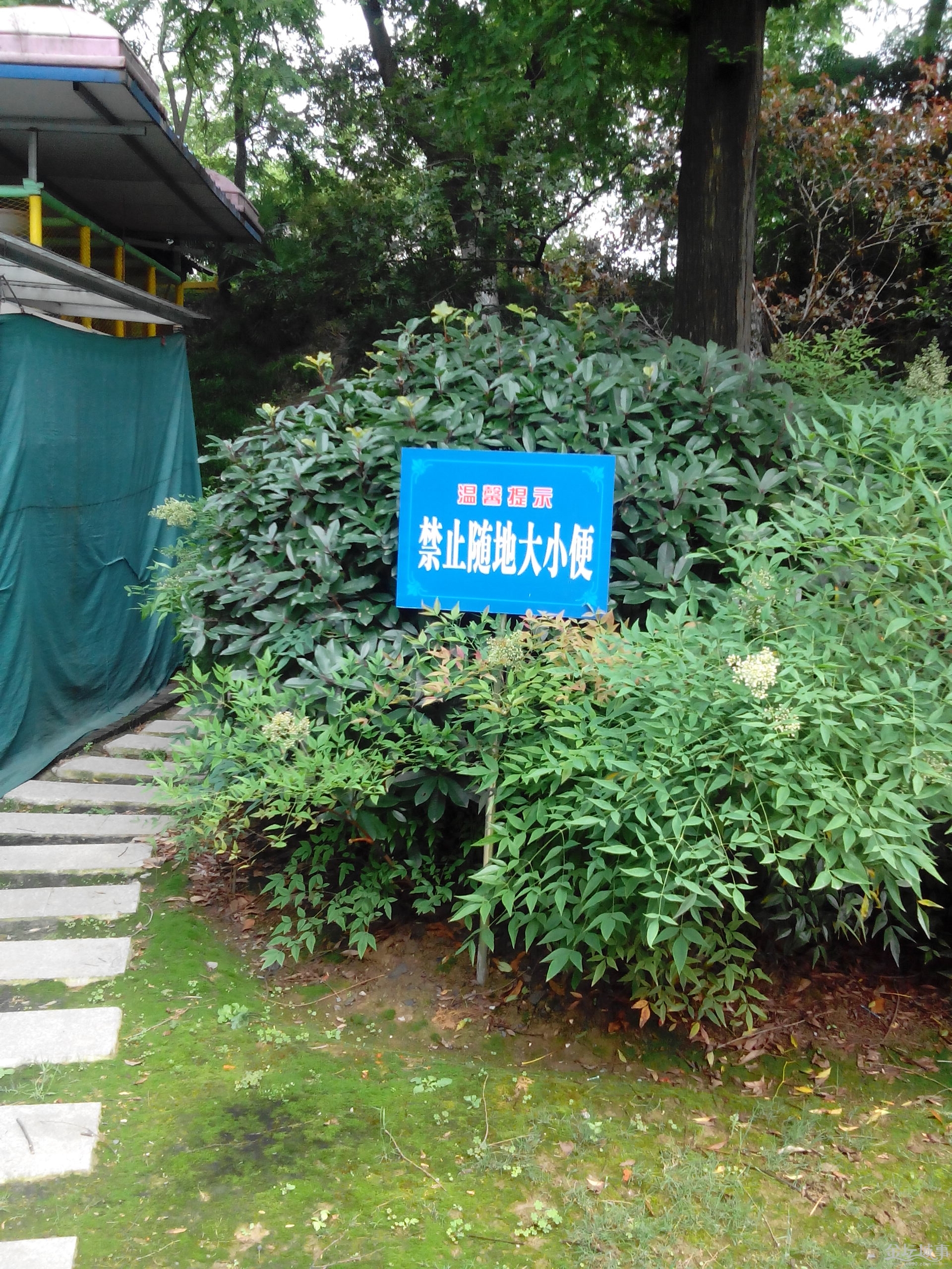 IMG_20150519_140926.jpg