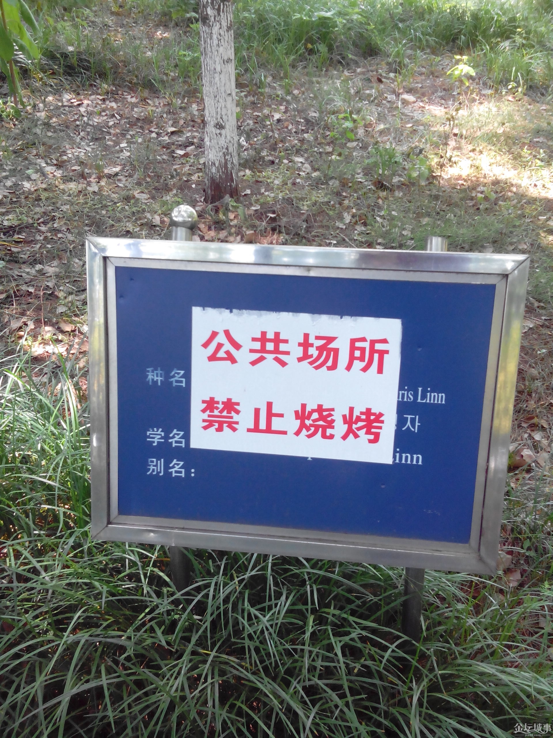 IMG_20150522_095853.jpg