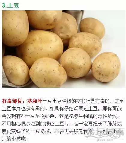 QQͼƬ20150526110052.png