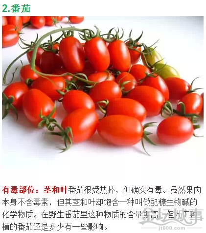 QQͼƬ20150526110034.png