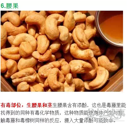 QQͼƬ20150526110140.png
