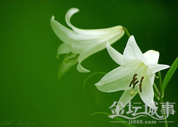 QQͼƬ20150530084632.jpg