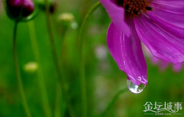 QQͼƬ20150530091808.png