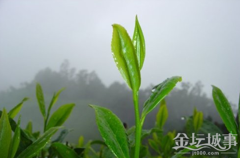 QQͼƬ20150530134136.png