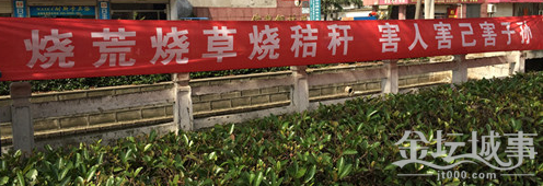 QQͼƬ20150601095711.png