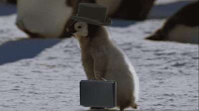 111.gif